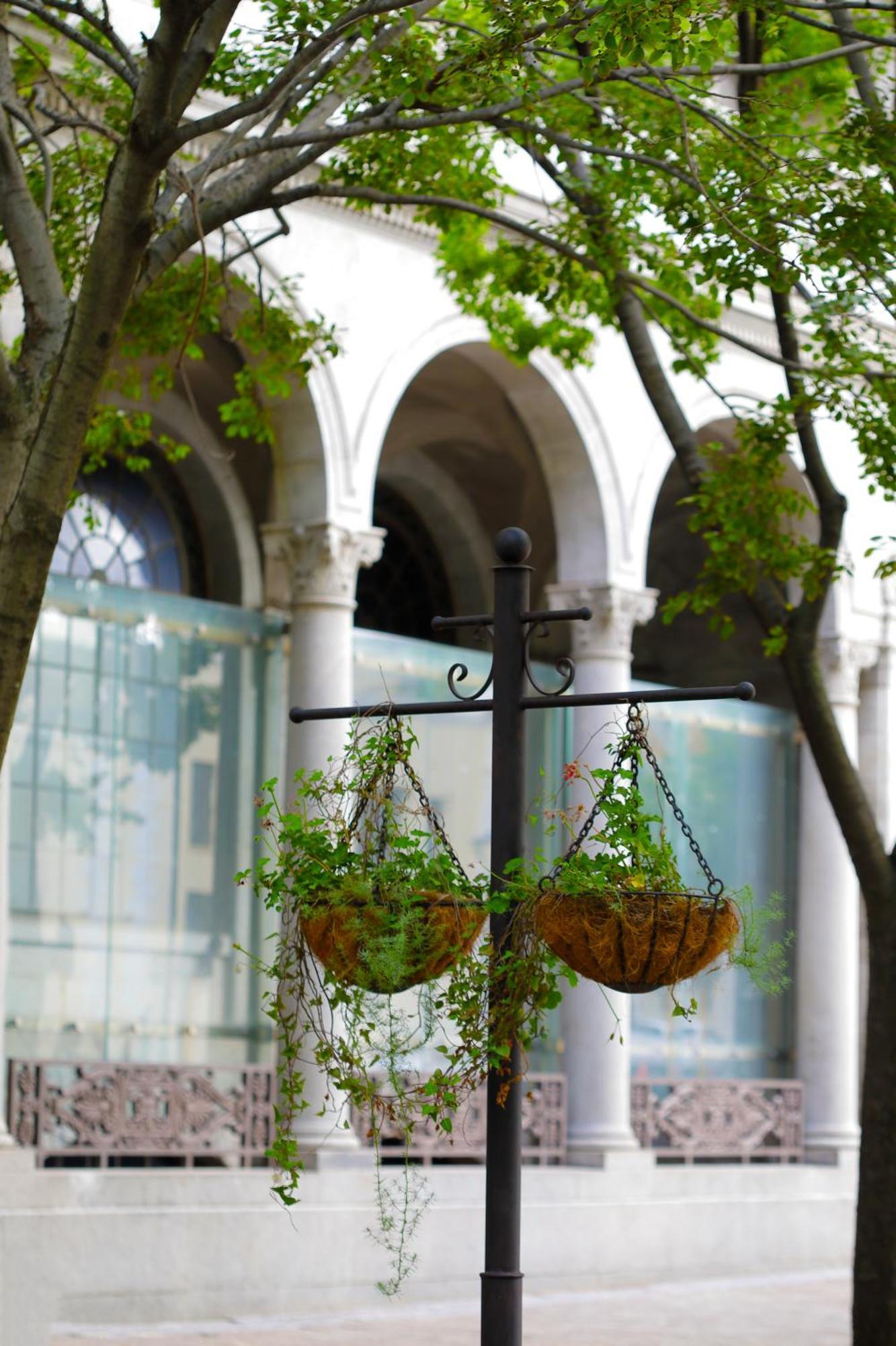 Labotessa Luxury Boutique Hotel Cape Town Dış mekan fotoğraf